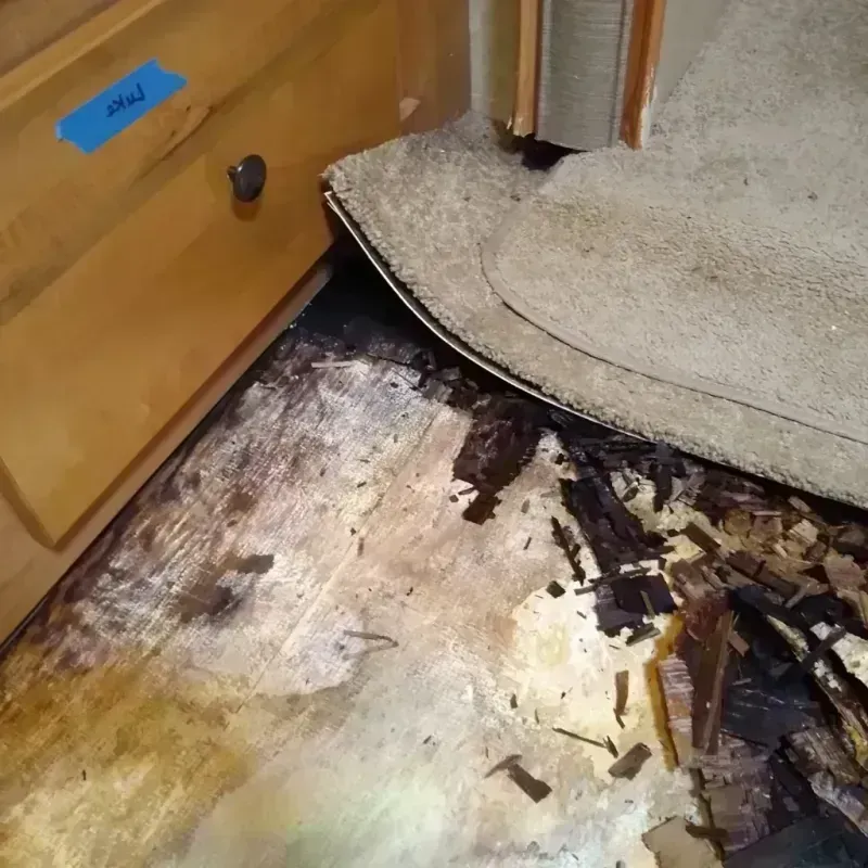 Best Wood Floor Water Damage Service in Syosset, NY